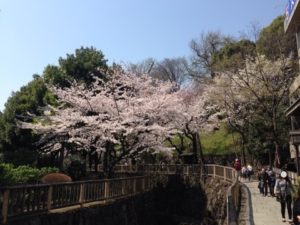 音無親水公園