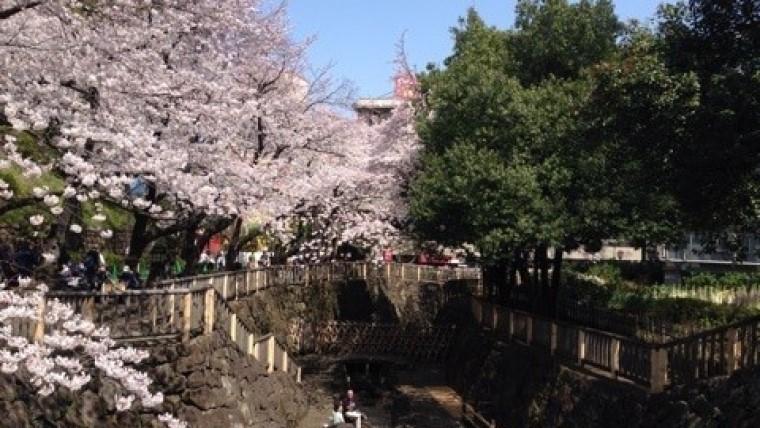 音無親水公園