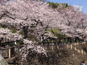 音無親水公園