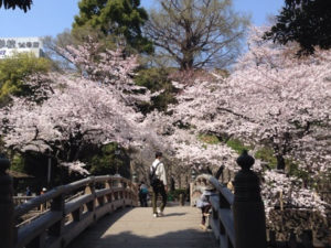 音無親水公園